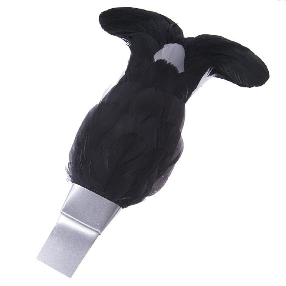 Blackcock Feather