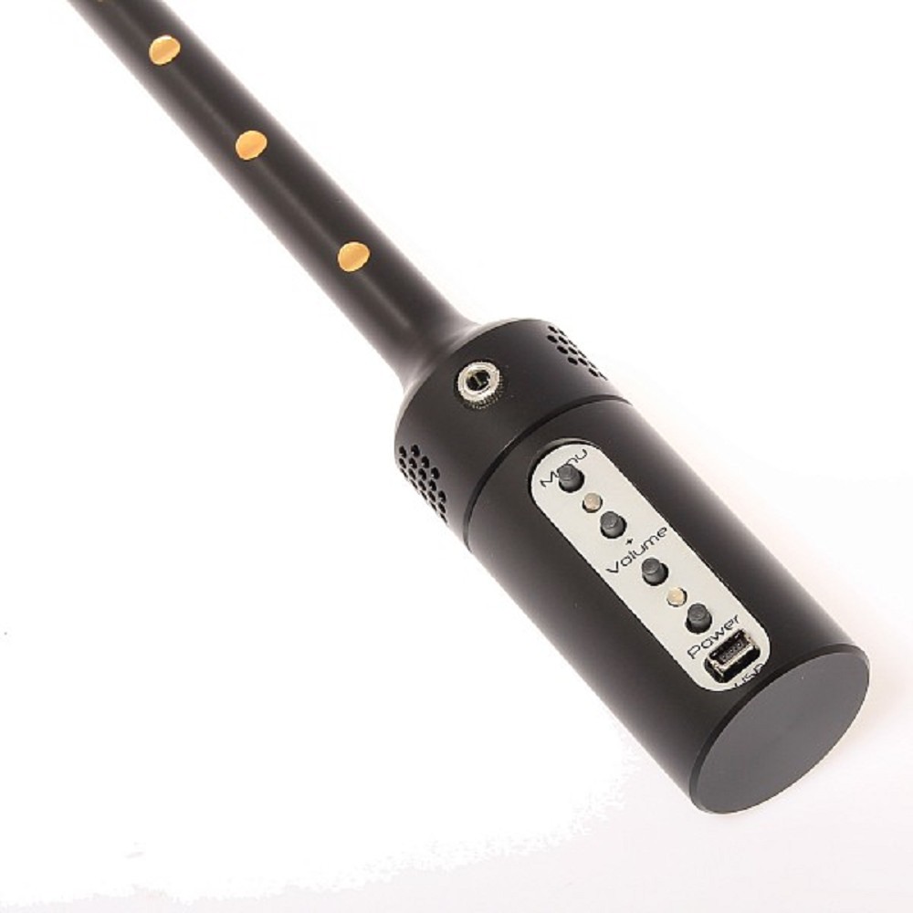 p2chanter Electronic Bagpipe Chanter