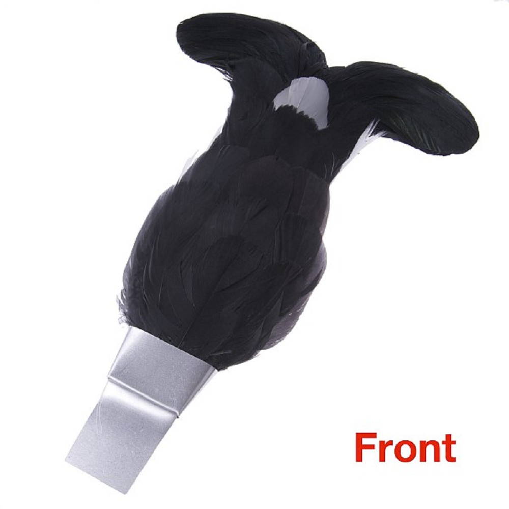 Blackcock Feather