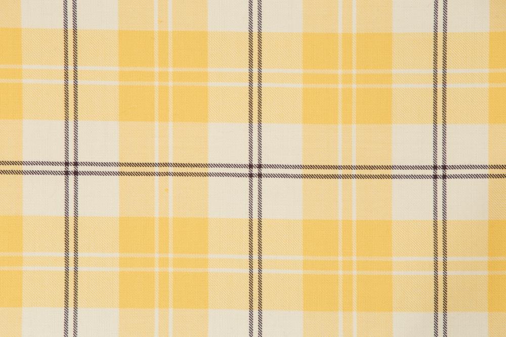 Ailsa Yellow BCH055 - House of Edgar - DW