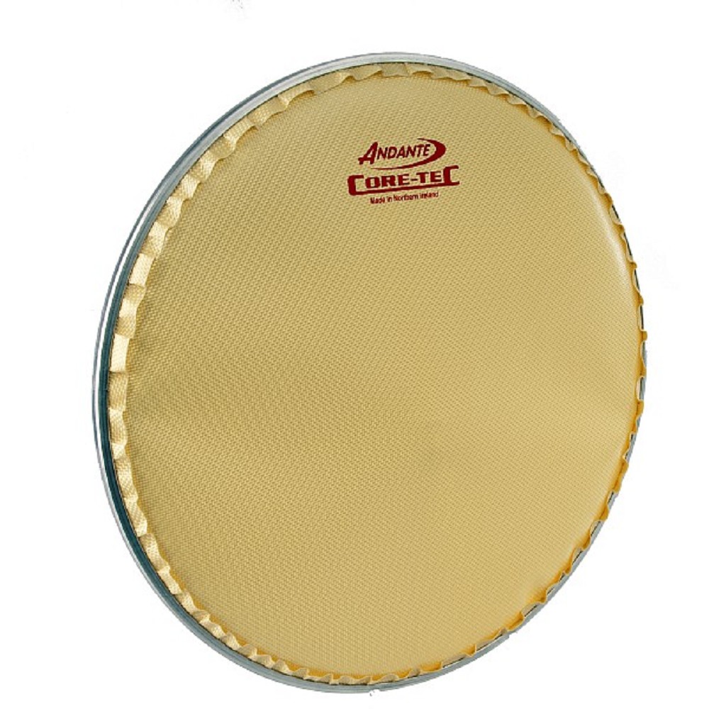 14" Andante CoreTec Head - Gold