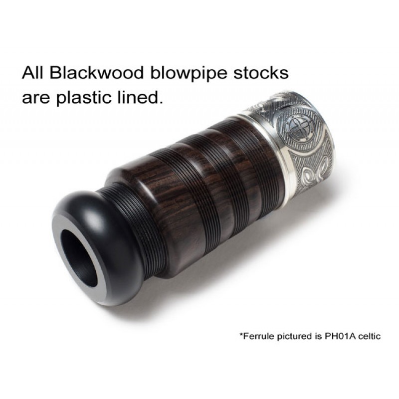 Peter Henderson PH05 Silver Blackwood Bagpipes - Zoomorphic