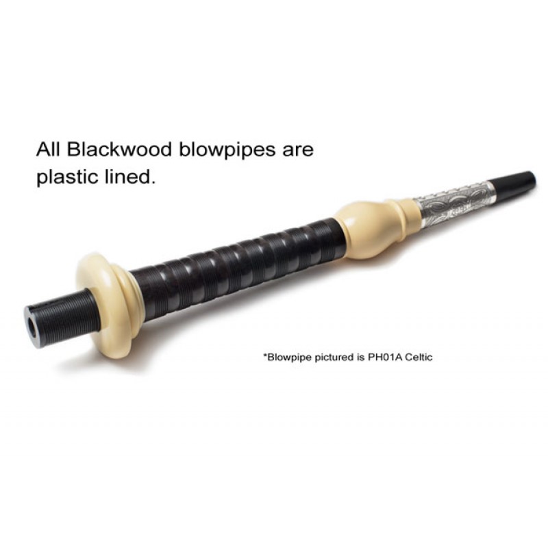 Peter Henderson PH05 Silver Blackwood Bagpipes - Zoomorphic
